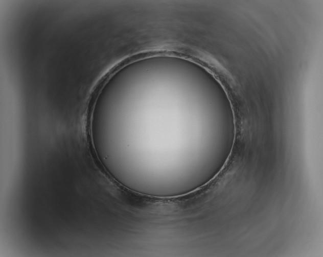 X0000102761216200808181102