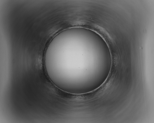 X0000102761217200808181102