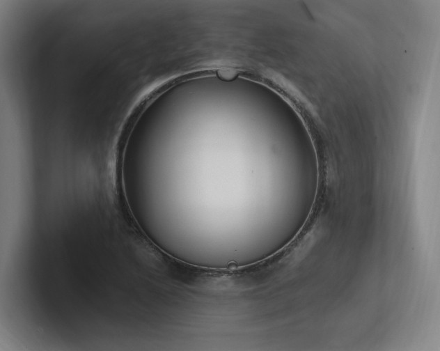 X0000102761222200808181102