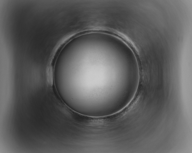 X0000102761223200808181102
