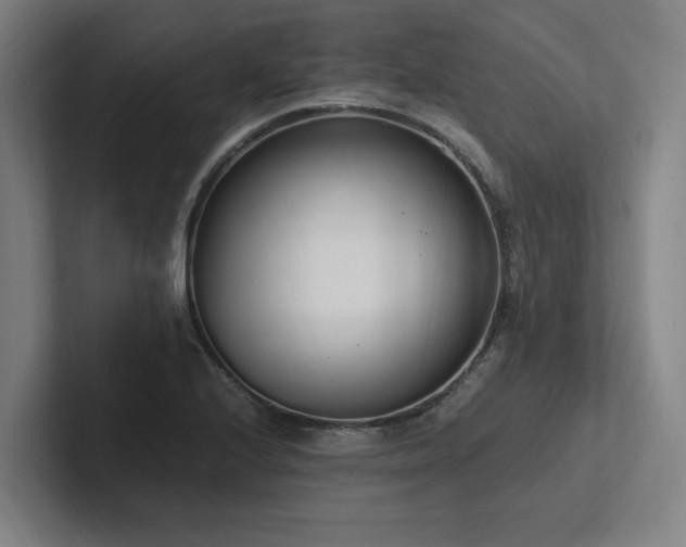 X0000102761224200808181102