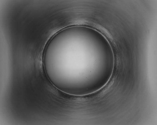 X0000102761226200808181102