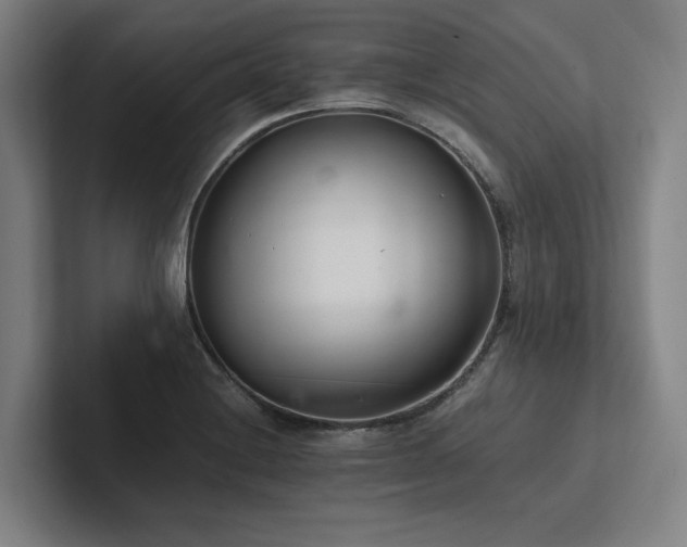 X0000102761228200808181102
