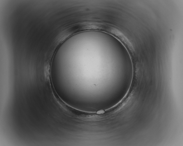 X0000102761233200808181102