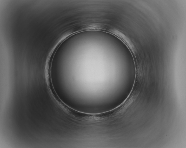 X0000102761235200808181102