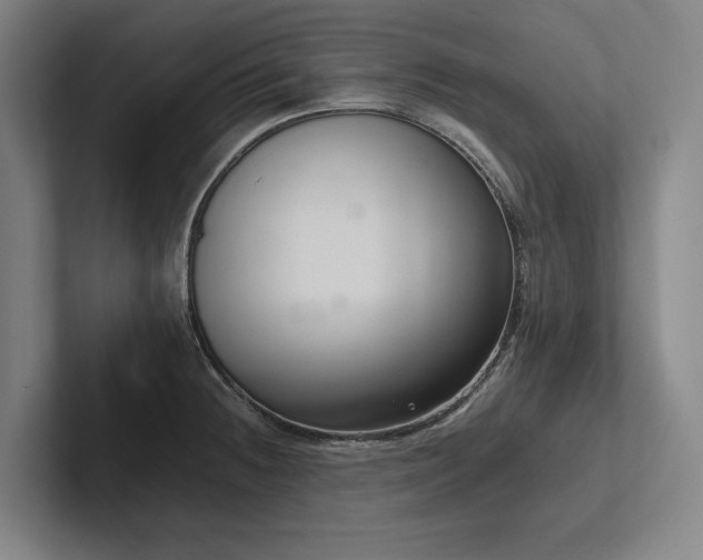 X0000102761236200808181102