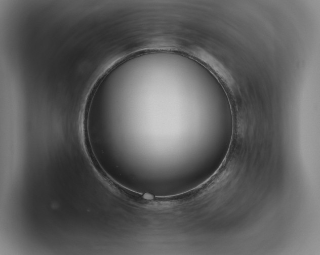 X0000102761237200808181102