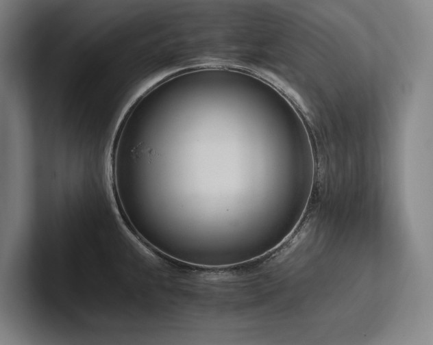 X0000102761239200808181102
