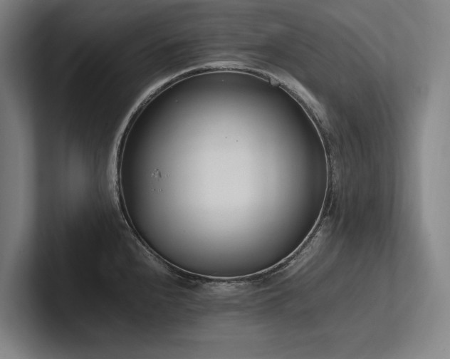 X0000102761240200808181102