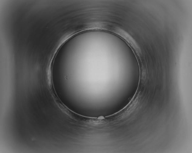 X0000102761242200808181102