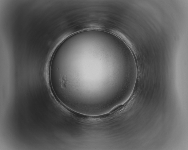 X0000102761243200808181102