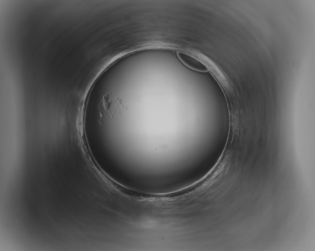 X0000102761244200808181102