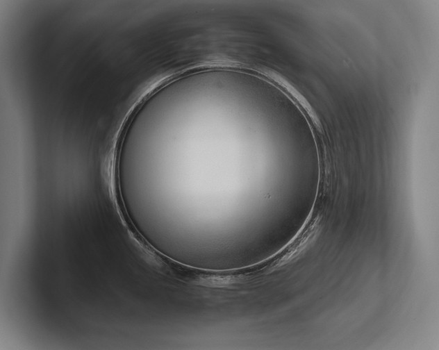 X0000102761245200808181102