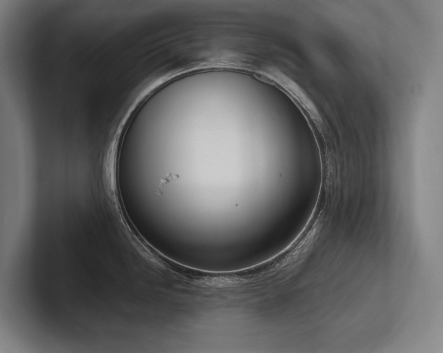 X0000102761246200808181102