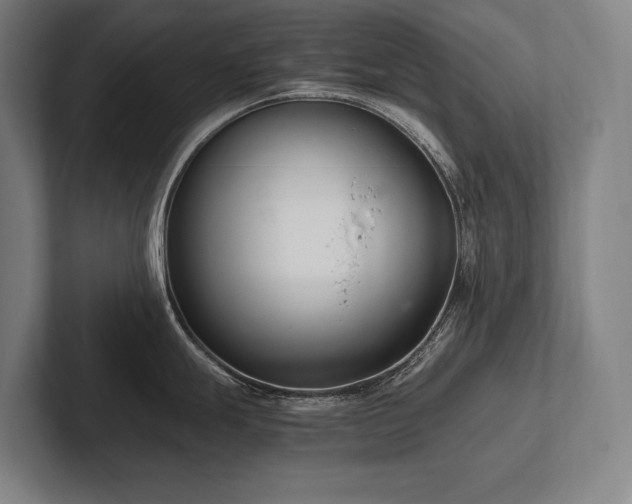 X0000102761247200808181102