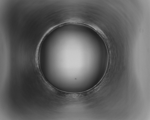 X0000102761248200808181102