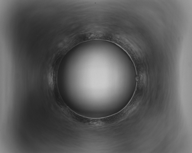 X0000102761250200808181102