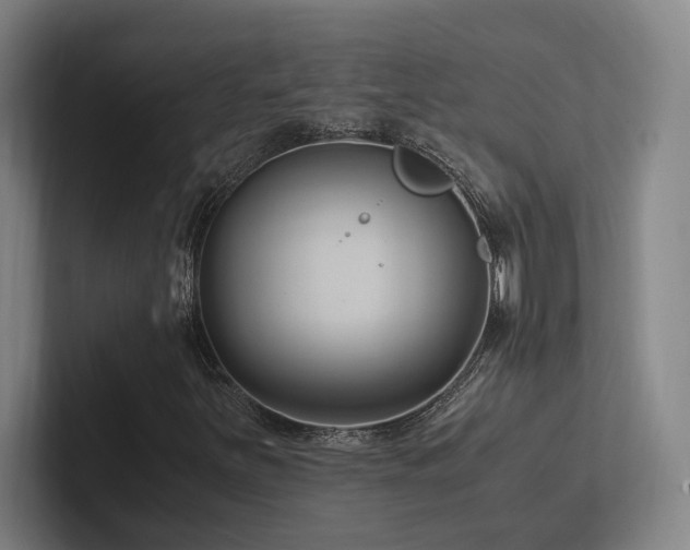 X0000102761251200808181102