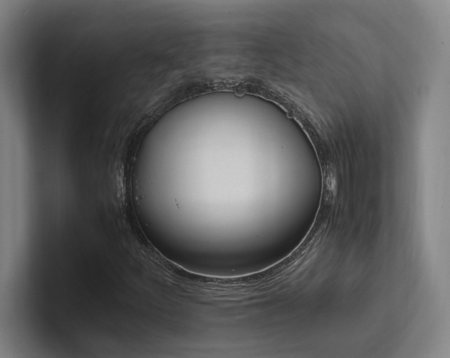 X0000102761252200808181102