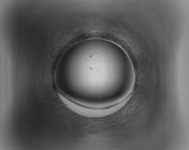 X0000102761253200808181102