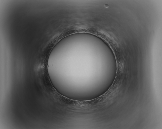 X0000102761254200808181102