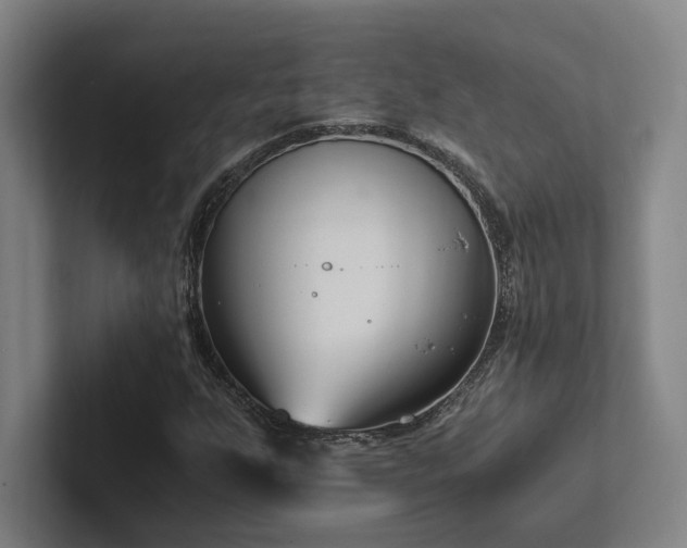 X0000102761255200808181102