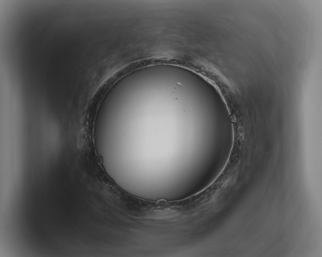 X0000102761256200808181102