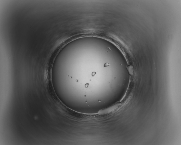 X0000102761259200808181102