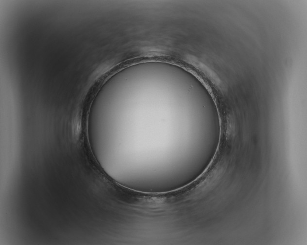 X0000102761261200808181102