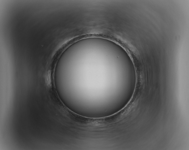 X0000102761262200808181102