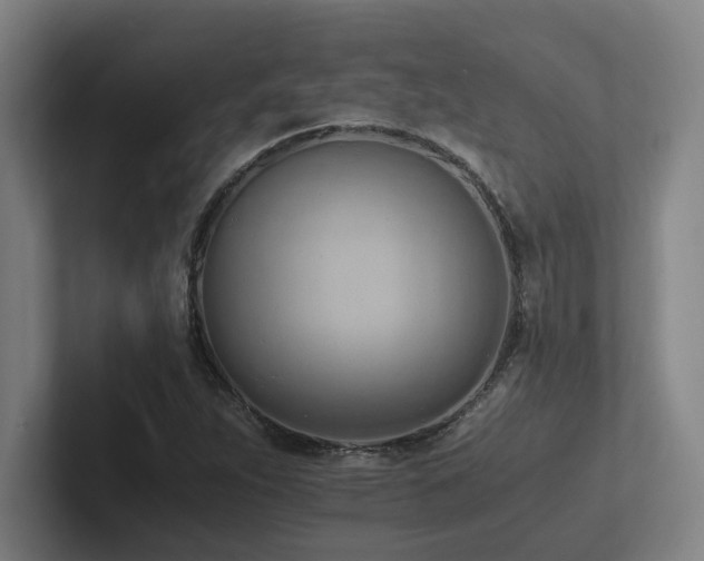 X0000102761263200808181102