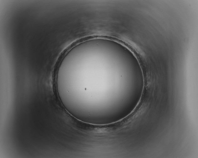 X0000102761264200808181102