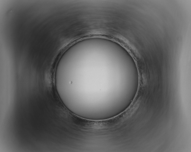 X0000102761266200808181102