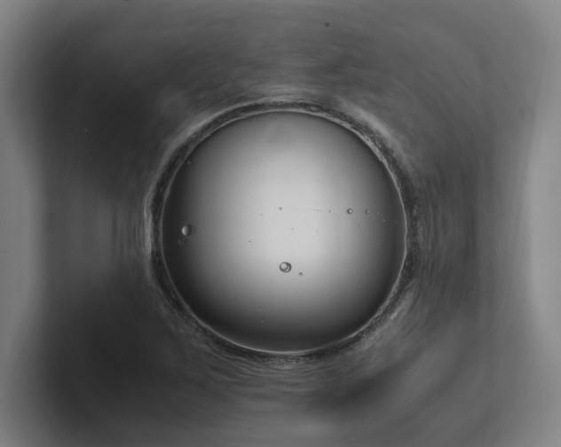 X0000102761267200808181102
