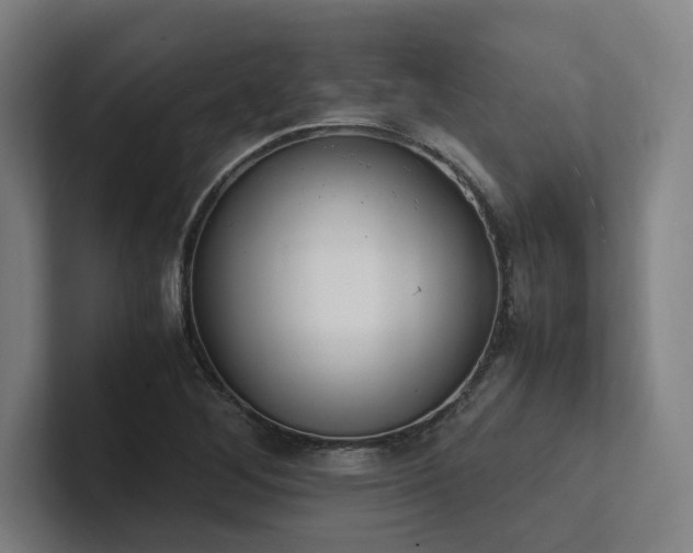 X0000102761268200808181102
