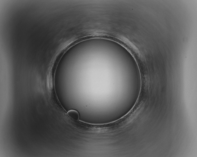 X0000102761269200808181102
