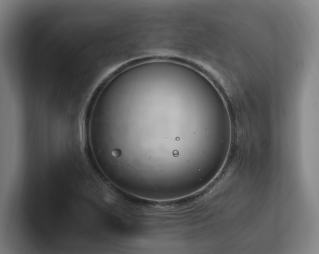 X0000102761271200808181102