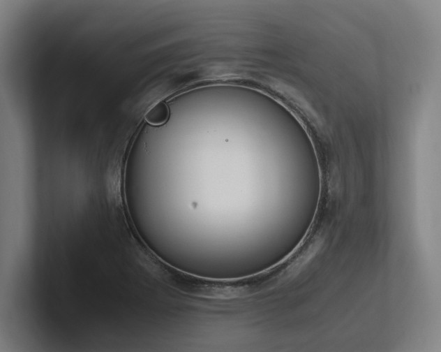 X0000102761273200808181102