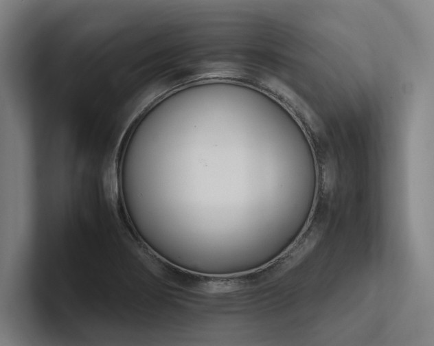 X0000102761274200808181101