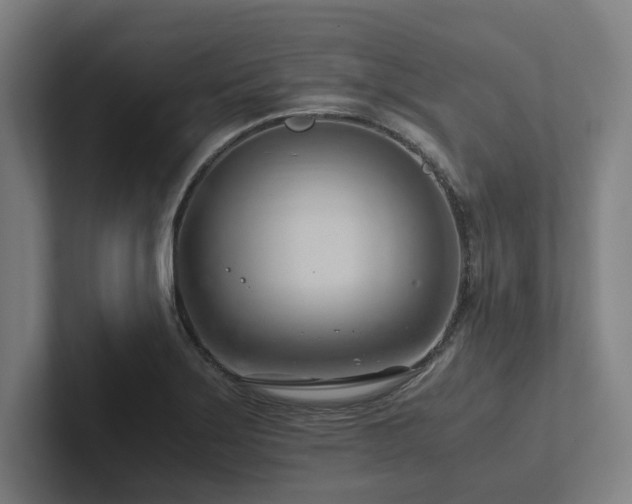 X0000102761275200808181101