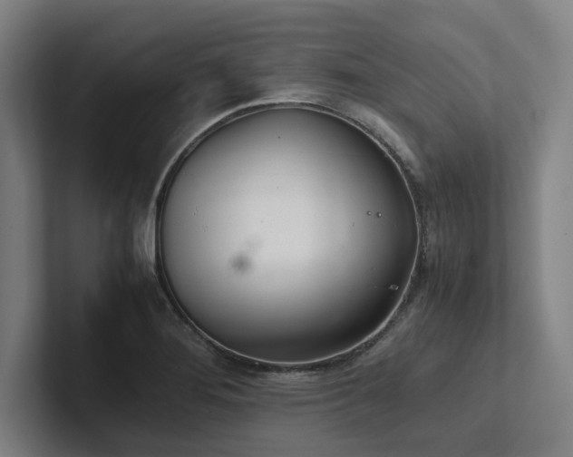 X0000102761276200808181101
