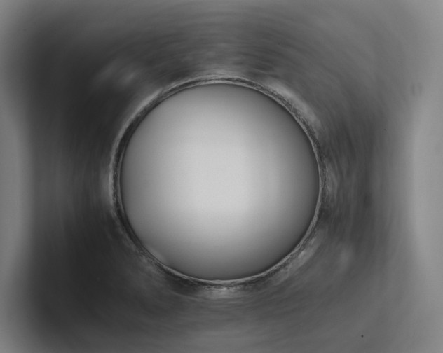X0000102761278200808181101