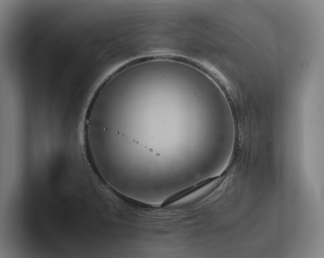 X0000102761279200808181101