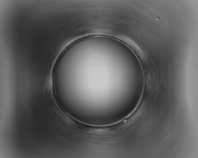 X0000102761280200808181101