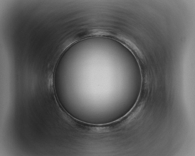 X0000102761281200808181101