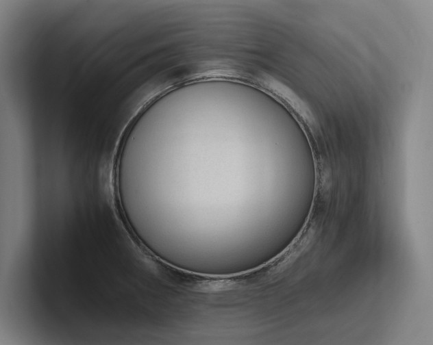 X0000102761282200808181101