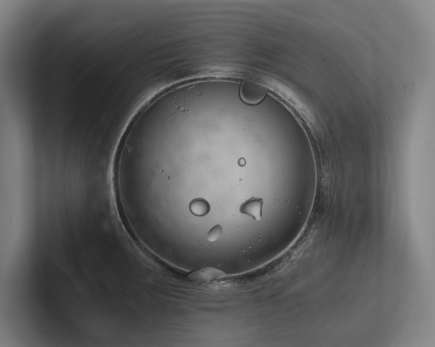 X0000102761283200808181101