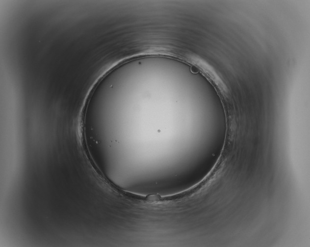 X0000102761284200808181101
