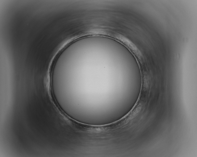 X0000102761286200808181101