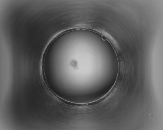 X0000102761288200808181101